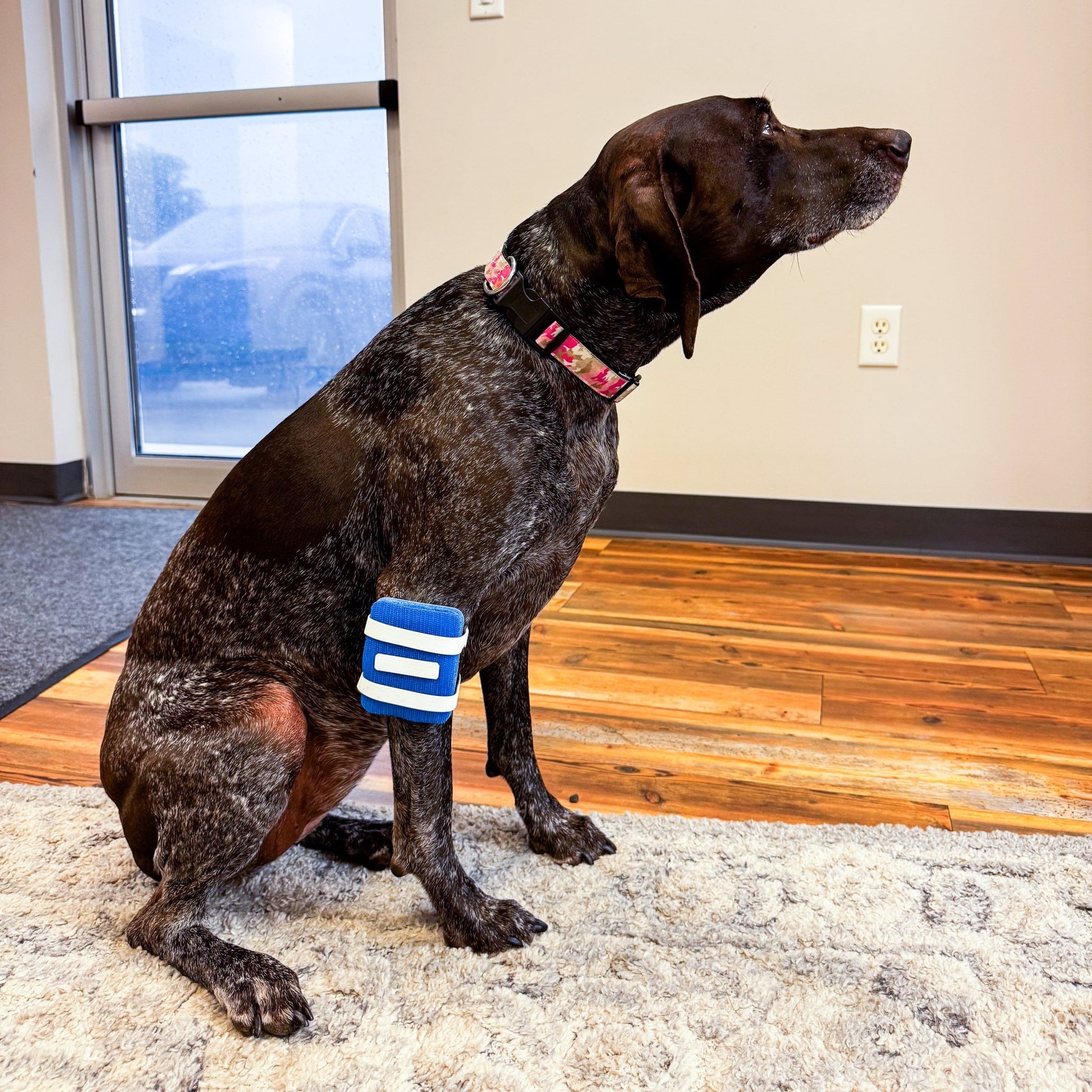 Medium ProudPet™ Patch (2 Pack) - ProudPet™